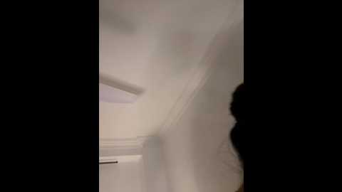 iamcrystal2 @ stripchat on 20260303