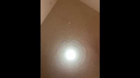 miichii @ stripchat on 20260303