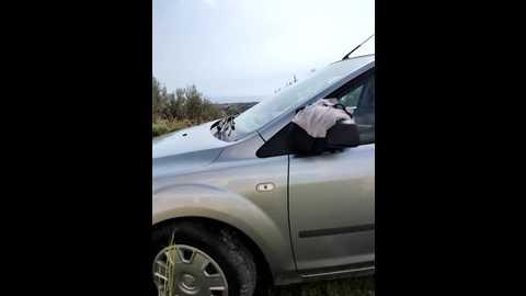 samira_summer @ stripchat on 20260303