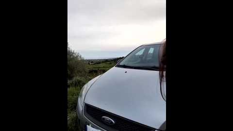 samira_summer @ stripchat on 20260303