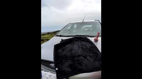 samira_summer @ stripchat on 20260303