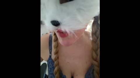 spritzmaus @ stripchat on 20260303