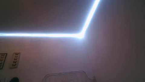 bellefleurrr @ stripchat on 20260304