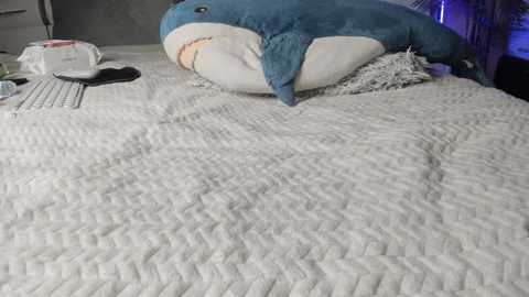 diamond_d_ @ stripchat on 20260304