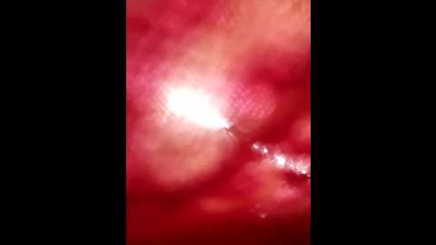 hot_kiran4 @ stripchat on 20260304