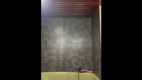 lisanimmersatt @ stripchat on 20260304