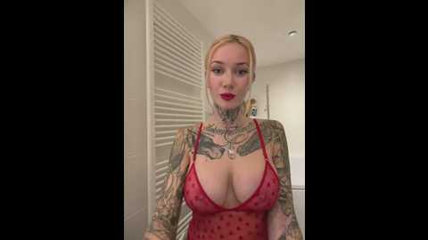 stella_kink @ stripchat on 20260304