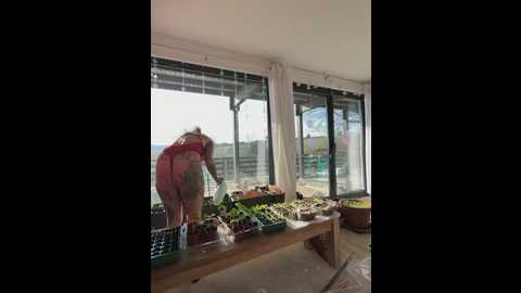 stella_kink @ stripchat on 20260304