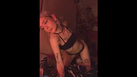 baby_starzx @ stripchat on 20260305