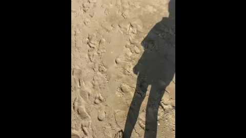 icemur @ stripchat on 20260305