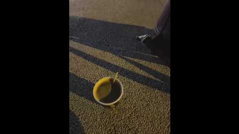 isabella21_ @ stripchat on 20260305