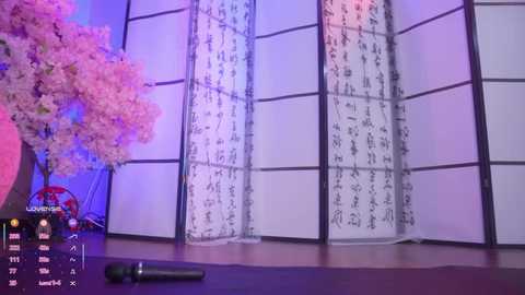 marry_cordy @ stripchat on 20260305