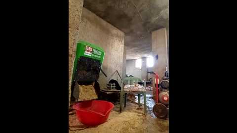 melekyaraksever2545 @ stripchat on 20260305