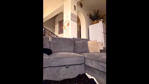 missmialicious @ stripchat on 20260305