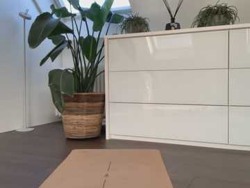 nikitasky @ stripchat on 20260305