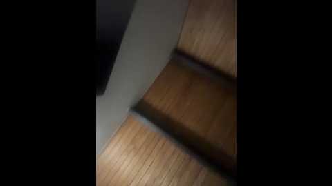 odbodu @ stripchat on 20260305