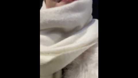 outside_rosy @ stripchat on 20260305