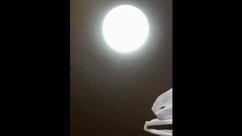 sexymelli18 @ stripchat on 20260305