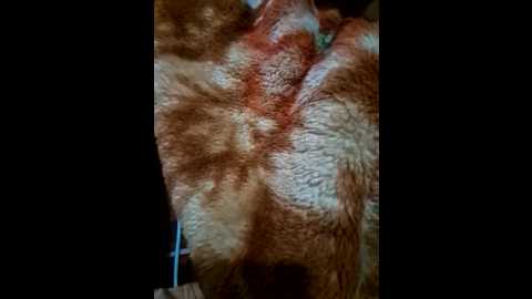 couple_hot999 @ stripchat on 20260306