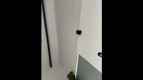 curchez_ @ stripchat on 20260306