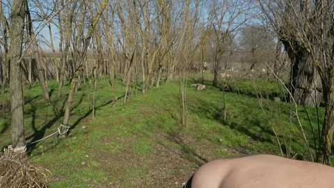 davids_angels @ stripchat on 20260306