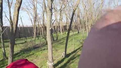 davids_angels @ stripchat on 20260306