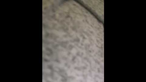 didihairypussy @ stripchat on 20260306