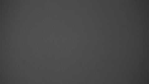 jerrijereb @ stripchat on 20260306