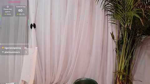 neinei_bao @ stripchat on 20260306