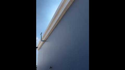 angelinateller @ stripchat on 20260307