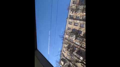 assole @ stripchat on 20260307