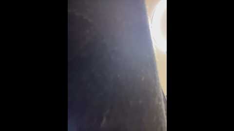 mia_lp @ stripchat on 20260307