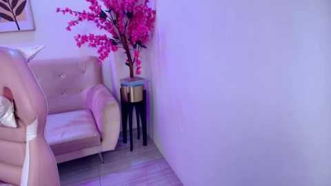 miia__owens @ stripchat on 20260307