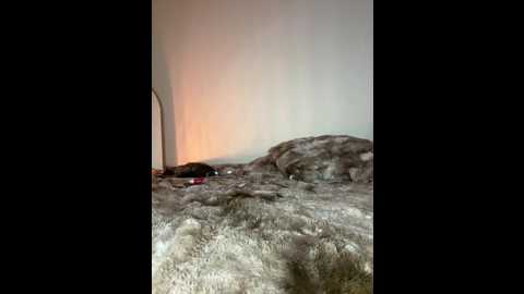 myc_hot @ stripchat on 20260307