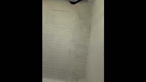 aly_golden_ @ stripchat on 20260308