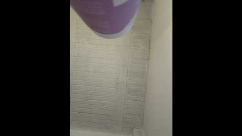 aly_golden_ @ stripchat on 20260308