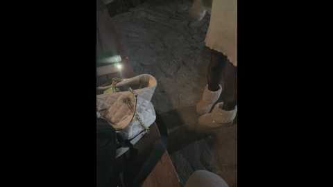 alyssafoxx_ @ stripchat on 20260308