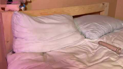 elinatiranda @ stripchat on 20260308