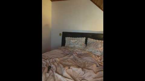 joanaelaa @ stripchat on 20260308