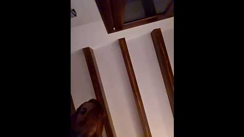 kylie_blck @ stripchat on 20260308