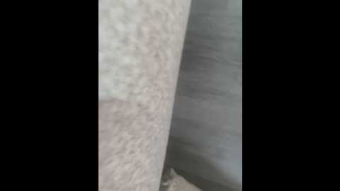 lipaxes @ stripchat on 20260308