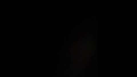 meiguigongzhu520 @ stripchat on 20260308