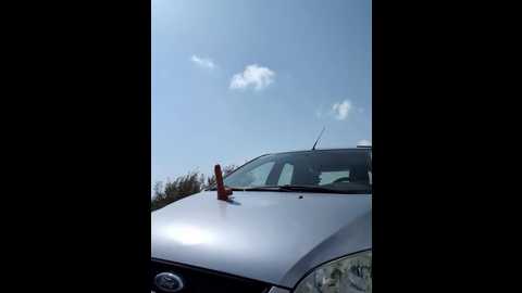 samira_summer @ stripchat on 20260308