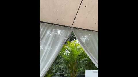 arieliciousxxx @ stripchat on 20260309