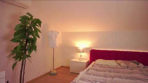 cassiemauzy @ stripchat on 20260309