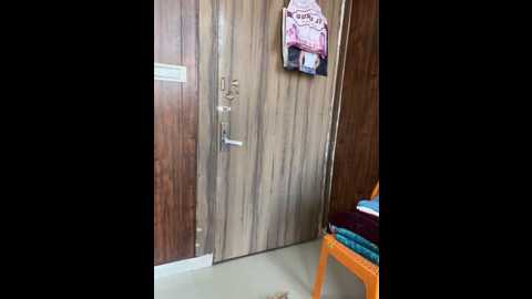 hotneha08 @ stripchat on 20260309