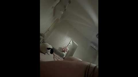 doktorica_sonjica @ stripchat on 20260310