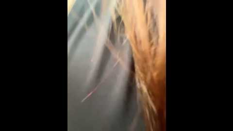 fionamurr @ stripchat on 20260310