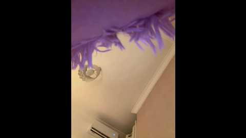 hot_farass @ stripchat on 20260311