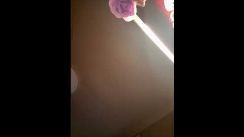 sexymelli18 @ stripchat on 20260311